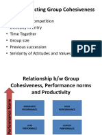 OB - Group Cohesiveness
