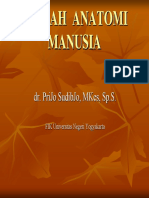 ANATOMI MANUSIA (ILMU URAI).pdf