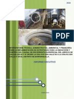 informe ejecuctivo arroyos 1-2018.pdf