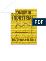 lIVRO DE ECONOMIA INDUSTRIAL LUÍS SOUZA PDF