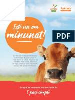 Ghidul Tau de Mancare Vegetariana PDF