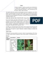 Virus Del Mosaico Del Tomate Melba