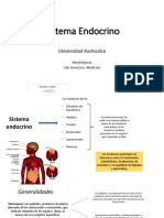 Sistema Endocrino