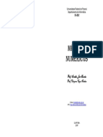 Métodos Numéricos - UFPR - 2007.pdf