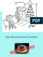 Eye Structure and Function.ppt