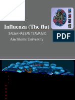 Influenza (the Flu)