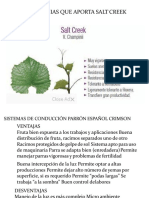 Crimsom Seedles - Pisco - Ica Corregido-2