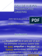presentacion_charla-incubacion-de-huievos-jairo-hoyos1.ppt