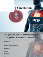 Corazón y Circulación