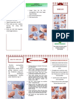 Leaflet Insulin