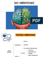 Tejido Nervioso 2019 PDF