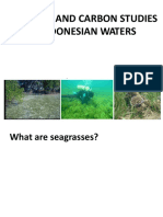 Seagrass and Carbon Studies in Indonesian Waters