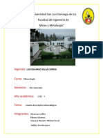 Universidad San Luis Gonzaga de Ica Facultad de Ingeniería de Minas y Metalurgia