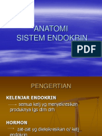 Endokrin Anatomi