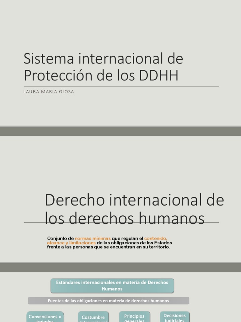Protección Internacional de los DDHH | PDF | Derechos humanos ...