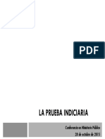 4055_prueba_indiciaria.pdf