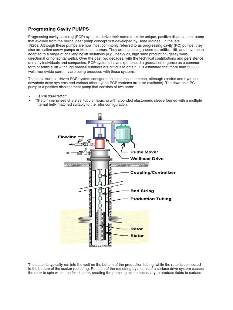 Progressing Cavity Pumps Pdf Pump Chemical Engineering