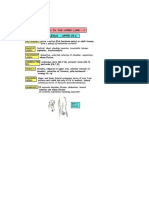 Upper&Lower Limb Nerve Injuries