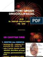 Anatomi Organ Orocollifacial: Dr. Hanna Aulia Namirah FK - Umi