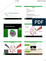 Diagnosis & Aviapp PDF