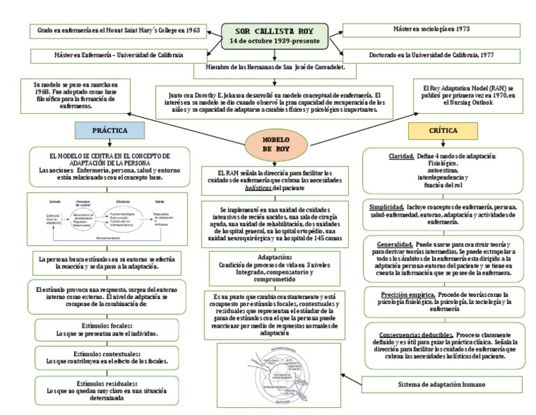 Mapa Conceptual Enfermera | PDF | Enfermería | Ciencias del comportamiento