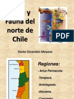 Flora y Fauna Del Norte de Chile