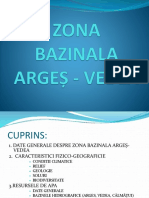 zona bazinala Arges-Vedea.pptx