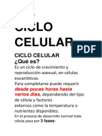 Ciclo Celular