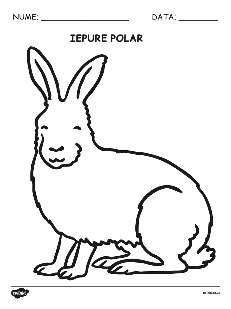 Gratuite pentru uz comercial fără atribuiri necesare fără drepturi de autor. Animalele La Poli Fise Pentru Colorat 1