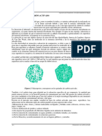 carbon6 (1).pdf