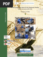 Alves,F.,2009,Navio-de-Oranjemund.pdf