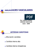 Abordajes Vasculares2