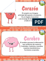 0_FICHAS ORGANOS CUERPO.pdf