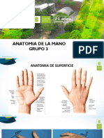Anatomia de La Mano PDF