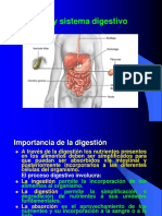 01-Sistema Digestivo Humano