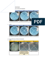 Resultados Conserva Lab 1