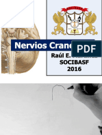 Nervios Craneales PDF