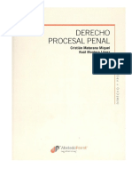 Derecho Penal. Maturana.pdf