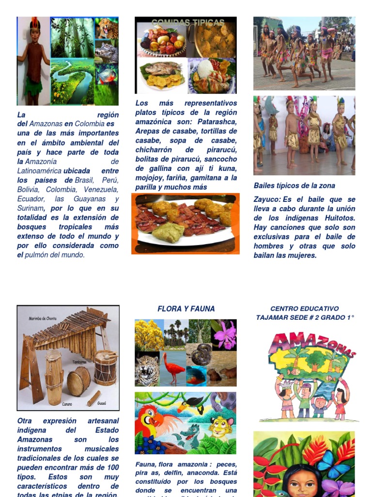 Platos y bailes típicos de la región amazónica de Colombia | PDF