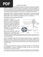Procedimiento de Panendoscopia: Guía Completa | PDF | Medicina CLINICA ...