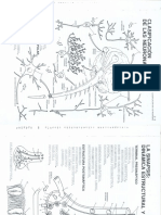 Dibujos Neuroanatomia