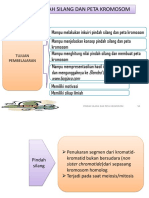 7.pindah Silang Dan Peta Kromosom