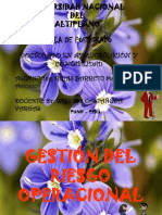 Gestion de Riesgo Operacional