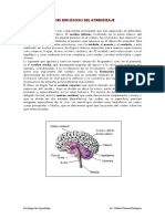 BASES BIOLÓGICAS DEL APRENDIZAJE.pdf