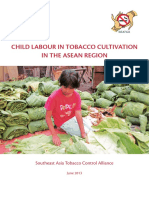 ChildLabor Final 2013 PDF