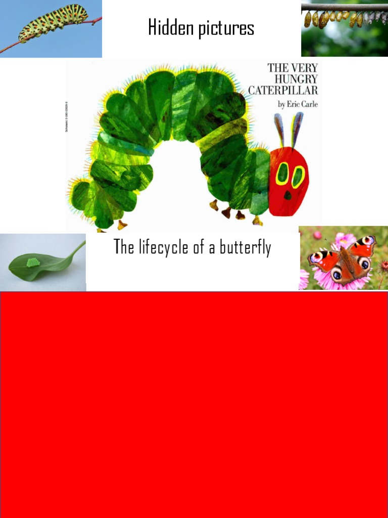 The-Very-Hungry-Caterpillar-Lifecycle-reveal.pptx