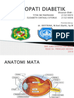 Retinopati Diabetik