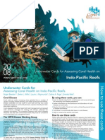 0807 Indo Pacific Underwater ID Cards