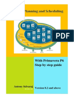P6 Manual PDF