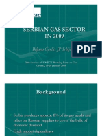 Serbian Gas Sector IN 2009